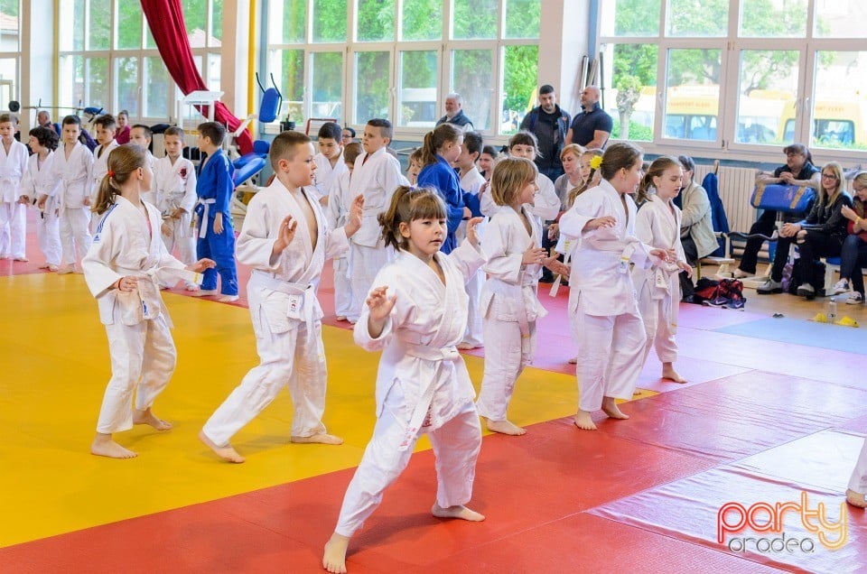 Micii judoka la Examen de Mon, Liceul cu Program Sportiv