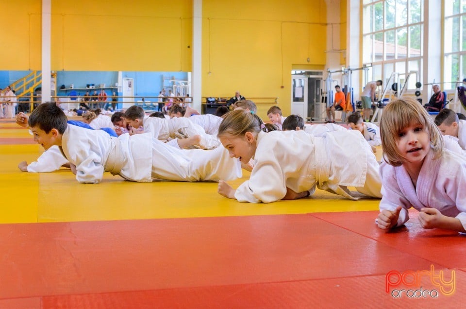 Micii judoka la Examen de Mon, Liceul cu Program Sportiv