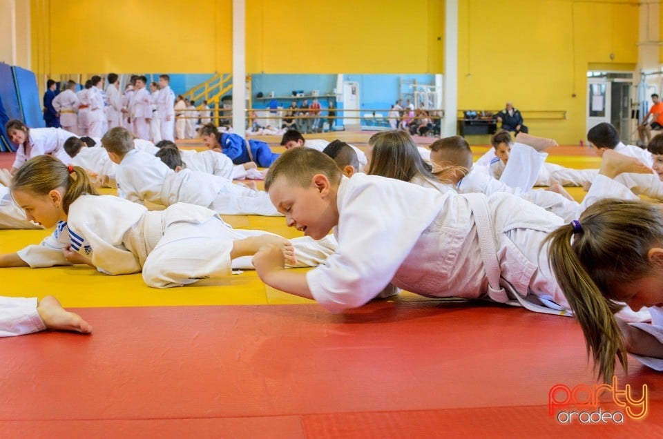 Micii judoka la Examen de Mon, Liceul cu Program Sportiv