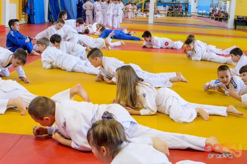 Micii judoka la Examen de Mon, Liceul cu Program Sportiv