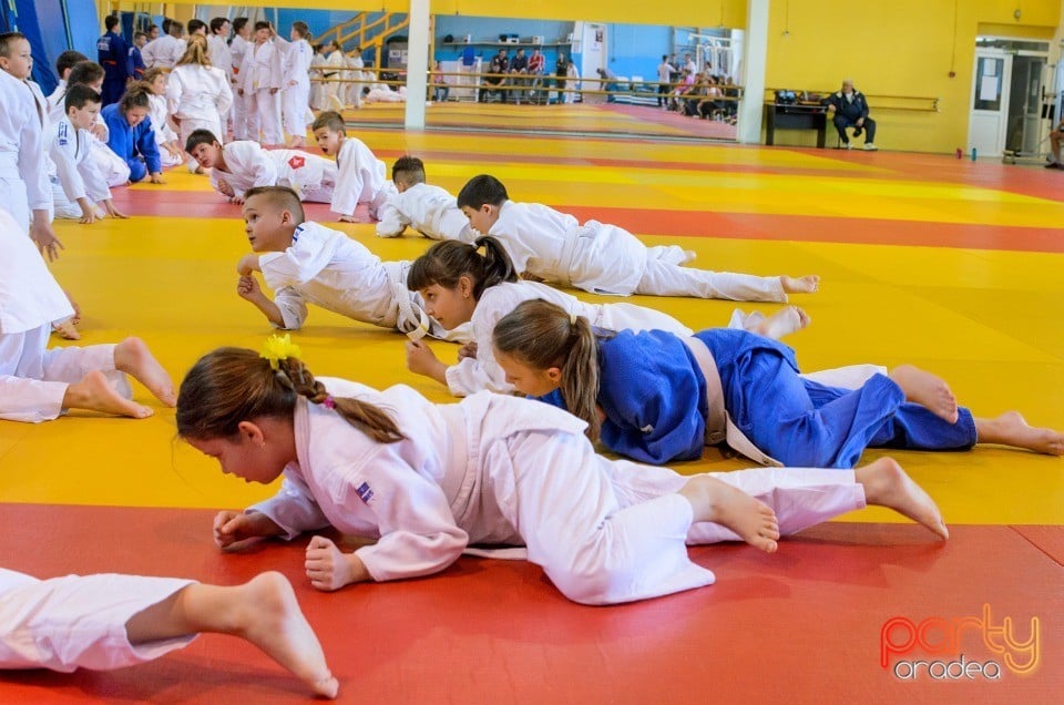 Micii judoka la Examen de Mon, Liceul cu Program Sportiv