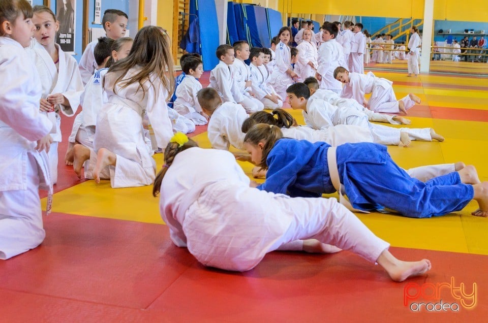 Micii judoka la Examen de Mon, Liceul cu Program Sportiv