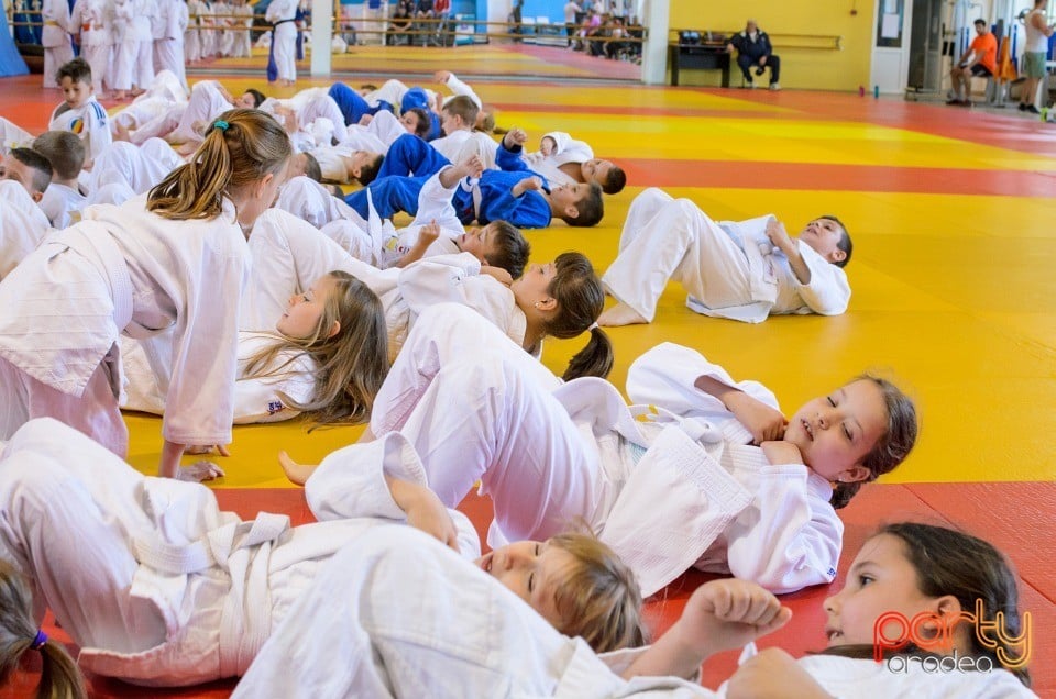 Micii judoka la Examen de Mon, Liceul cu Program Sportiv