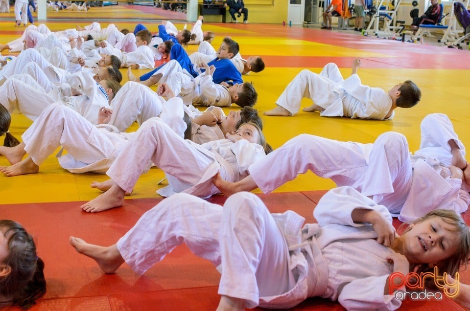 Micii judoka la Examen de Mon, Liceul cu Program Sportiv