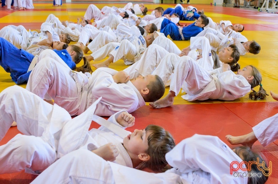 Micii judoka la Examen de Mon, Liceul cu Program Sportiv