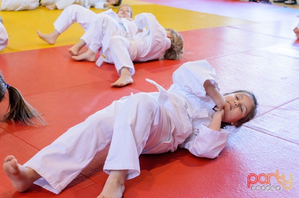 Micii judoka la Examen de Mon, Liceul cu Program Sportiv