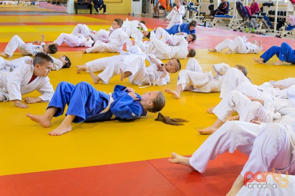 Micii judoka la Examen de Mon, Liceul cu Program Sportiv