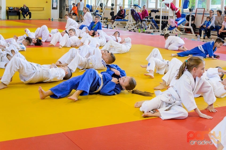 Micii judoka la Examen de Mon, Liceul cu Program Sportiv