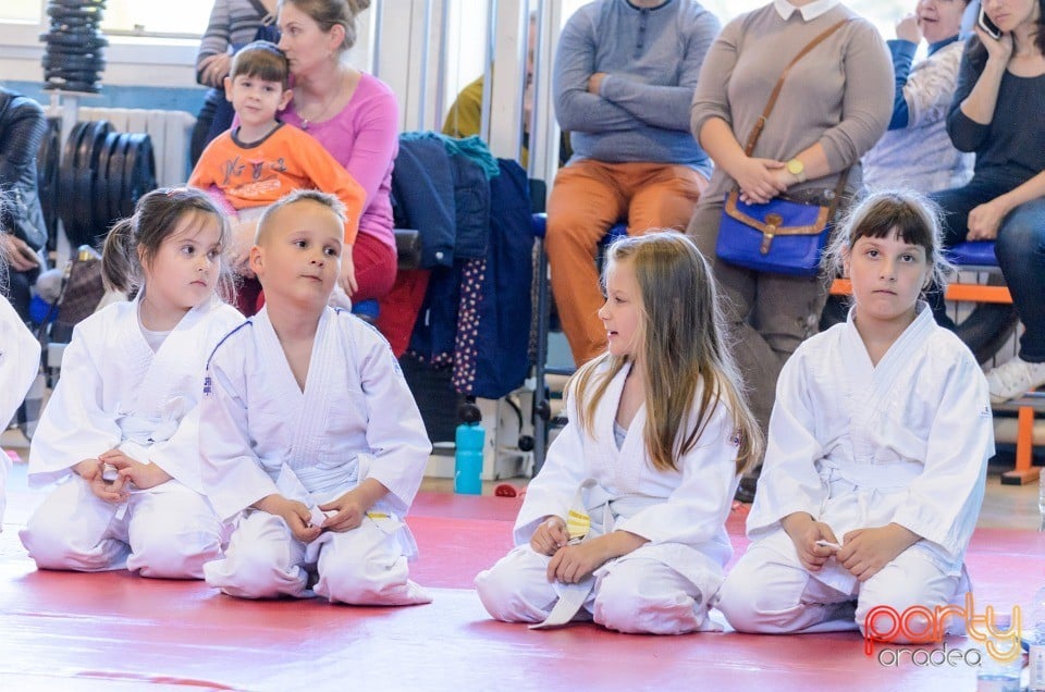 Micii judoka la Examen de Mon, Liceul cu Program Sportiv