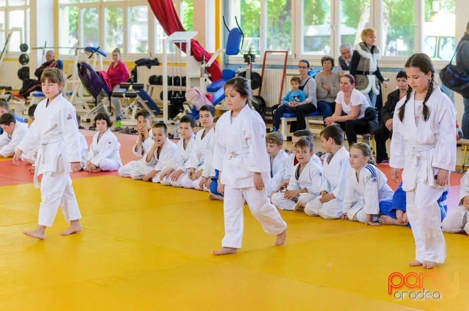 Micii judoka la Examen de Mon, Liceul cu Program Sportiv