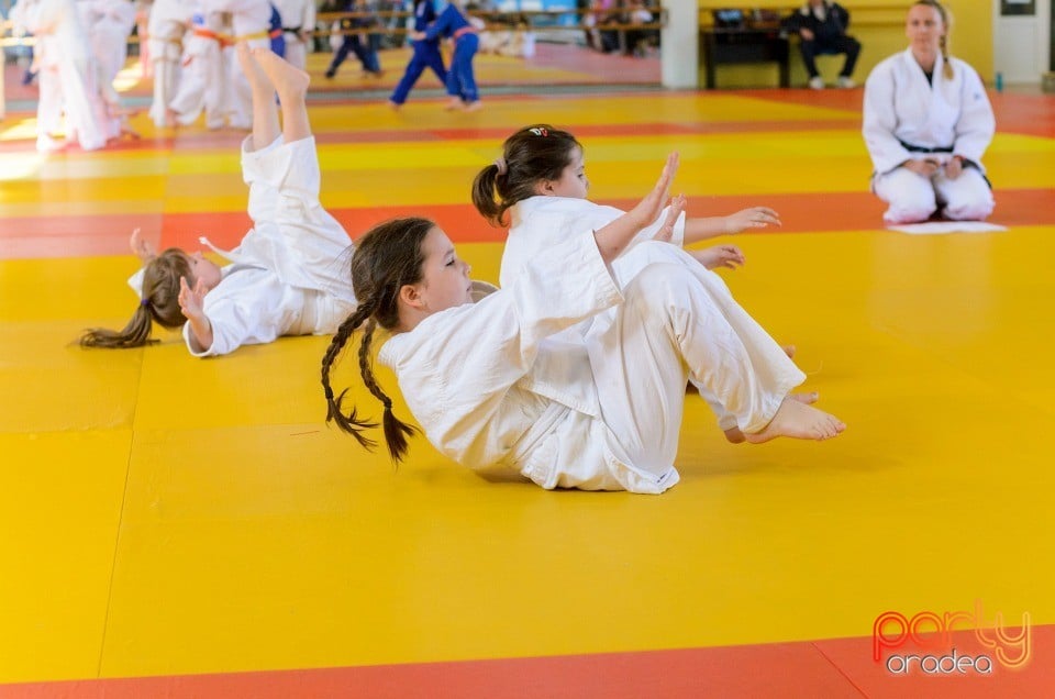 Micii judoka la Examen de Mon, Liceul cu Program Sportiv