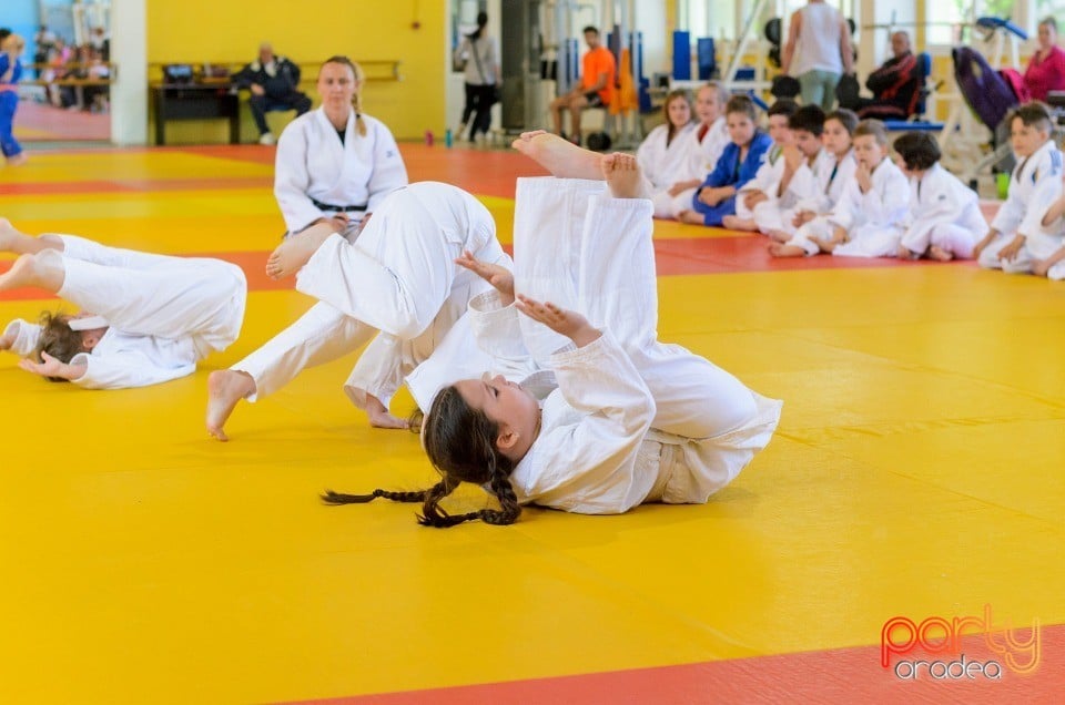 Micii judoka la Examen de Mon, Liceul cu Program Sportiv