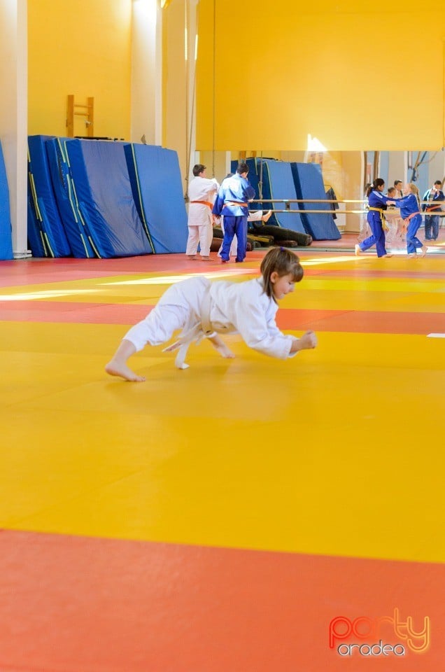 Micii judoka la Examen de Mon, Liceul cu Program Sportiv