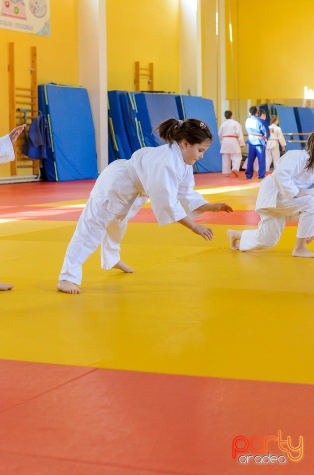 Micii judoka la Examen de Mon, Liceul cu Program Sportiv