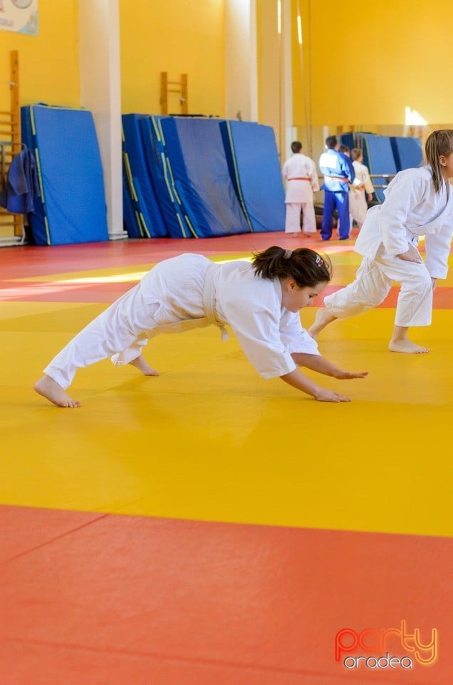 Micii judoka la Examen de Mon, Liceul cu Program Sportiv