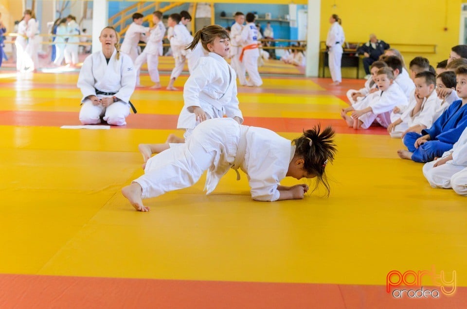 Micii judoka la Examen de Mon, Liceul cu Program Sportiv