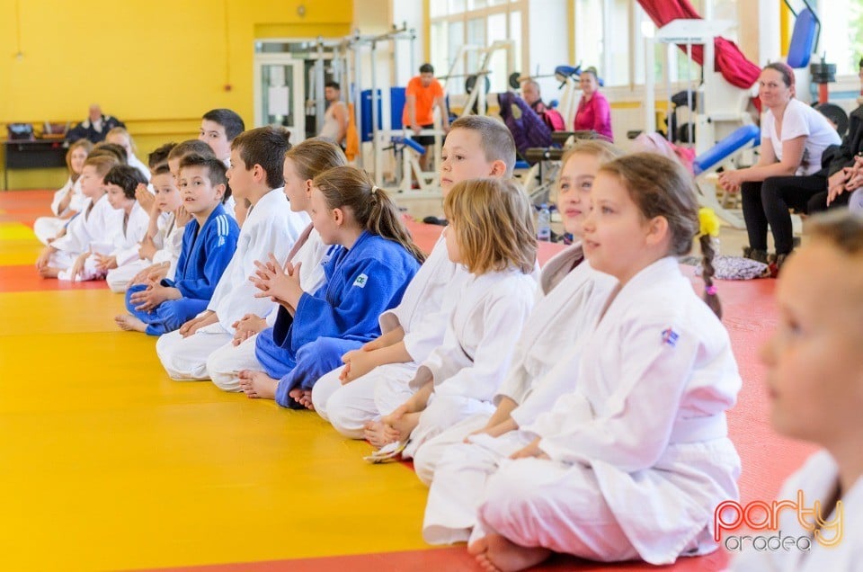 Micii judoka la Examen de Mon, Liceul cu Program Sportiv