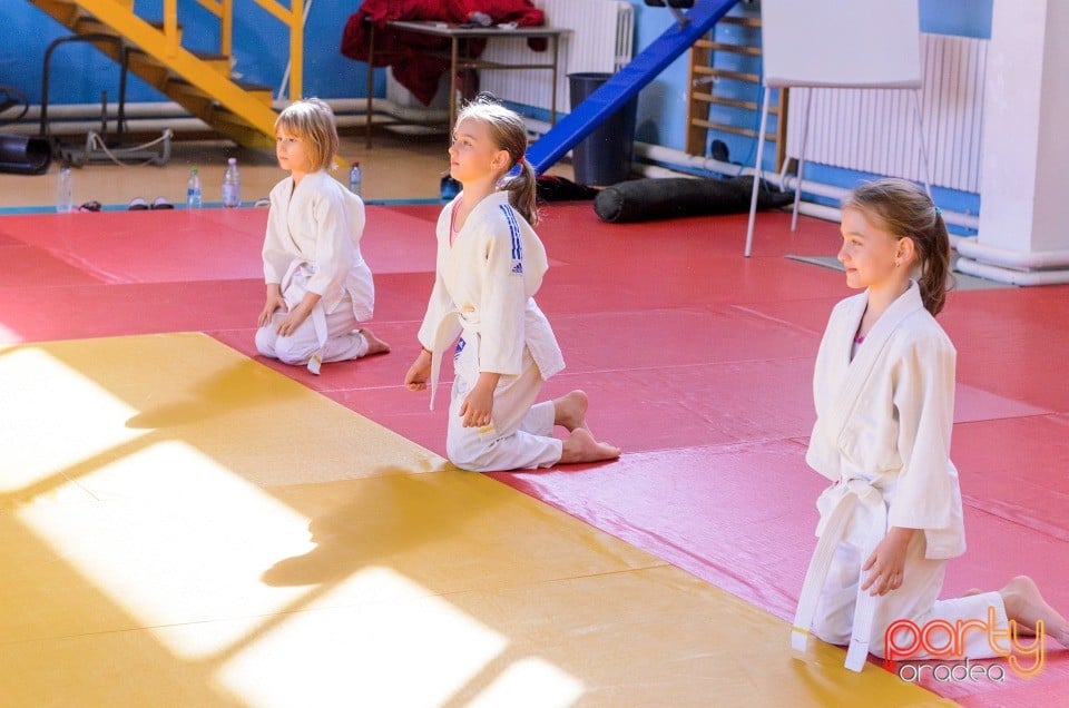 Micii judoka la Examen de Mon, Liceul cu Program Sportiv