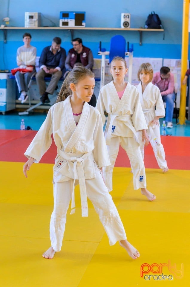 Micii judoka la Examen de Mon, Liceul cu Program Sportiv