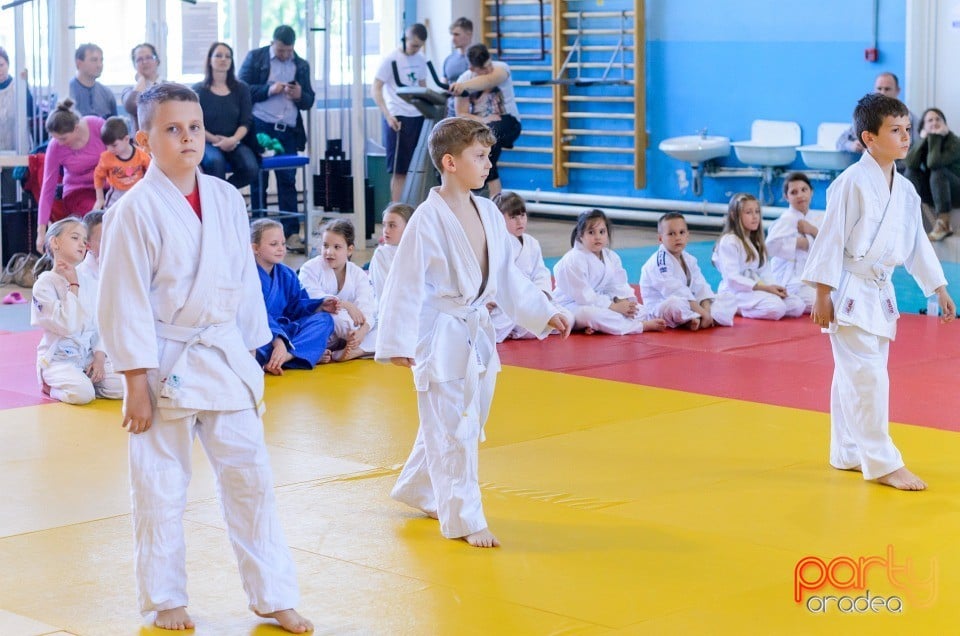 Micii judoka la Examen de Mon, Liceul cu Program Sportiv