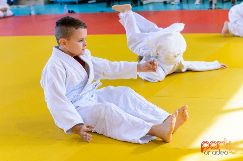 Micii judoka la Examen de Mon, Liceul cu Program Sportiv