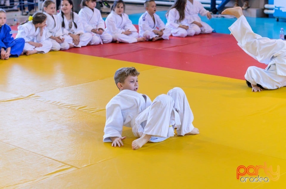 Micii judoka la Examen de Mon, Liceul cu Program Sportiv