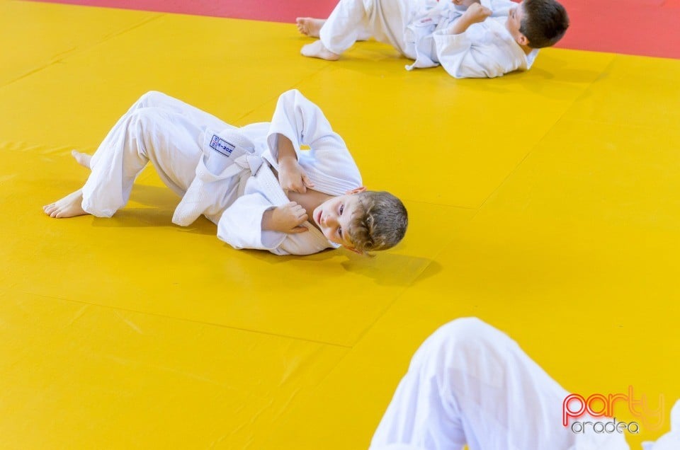 Micii judoka la Examen de Mon, Liceul cu Program Sportiv