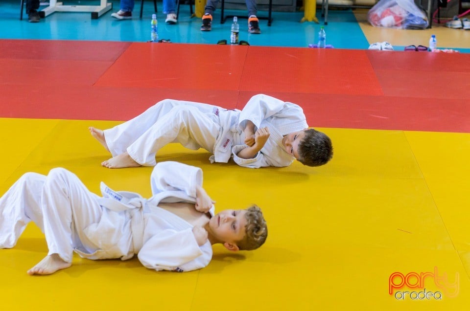 Micii judoka la Examen de Mon, Liceul cu Program Sportiv