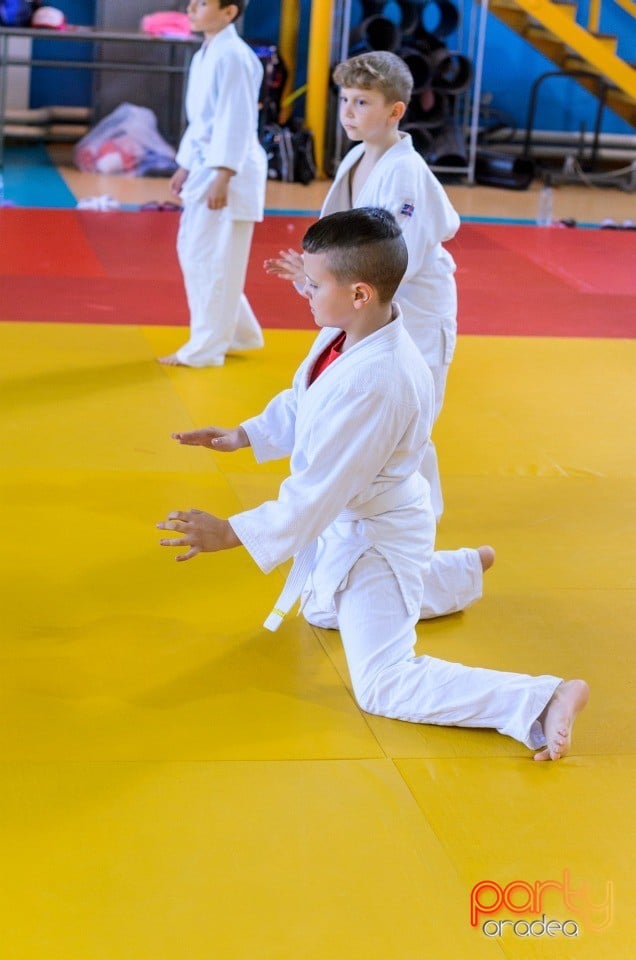 Micii judoka la Examen de Mon, Liceul cu Program Sportiv