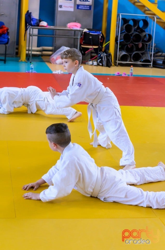 Micii judoka la Examen de Mon, Liceul cu Program Sportiv