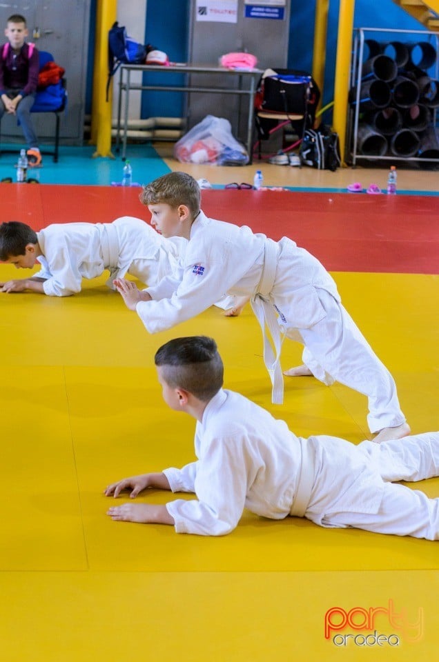 Micii judoka la Examen de Mon, Liceul cu Program Sportiv