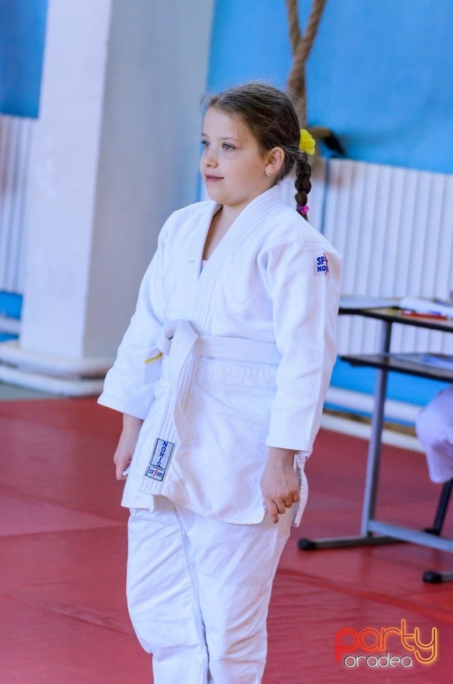 Micii judoka la Examen de Mon, Liceul cu Program Sportiv