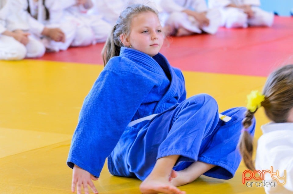 Micii judoka la Examen de Mon, Liceul cu Program Sportiv