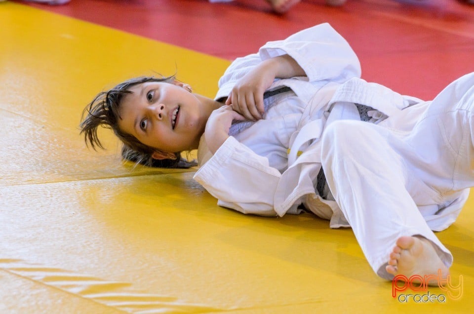 Micii judoka la Examen de Mon, Liceul cu Program Sportiv