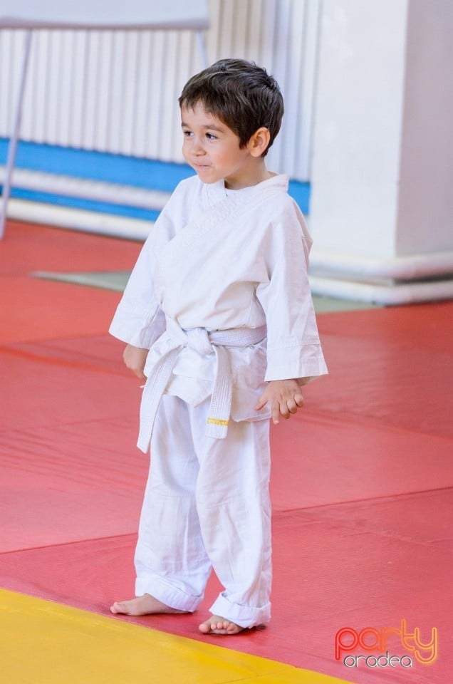 Micii judoka la Examen de Mon, Liceul cu Program Sportiv