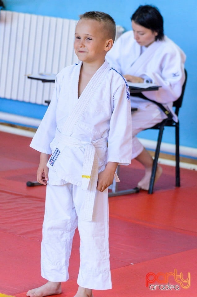 Micii judoka la Examen de Mon, Liceul cu Program Sportiv