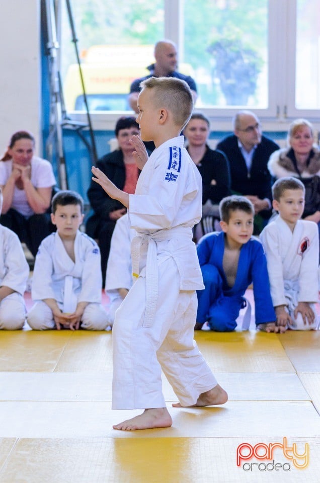 Micii judoka la Examen de Mon, Liceul cu Program Sportiv