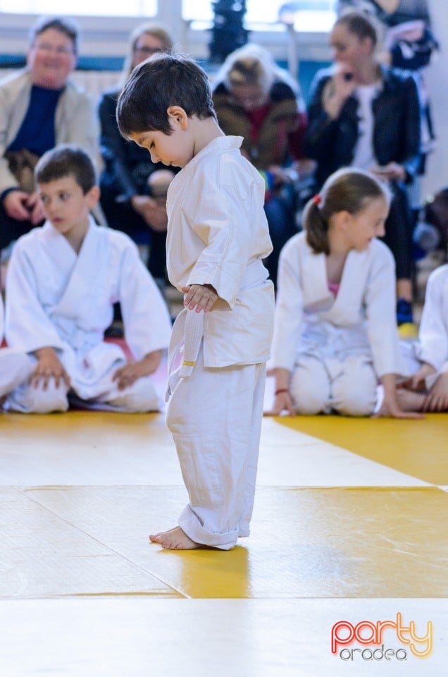 Micii judoka la Examen de Mon, Liceul cu Program Sportiv