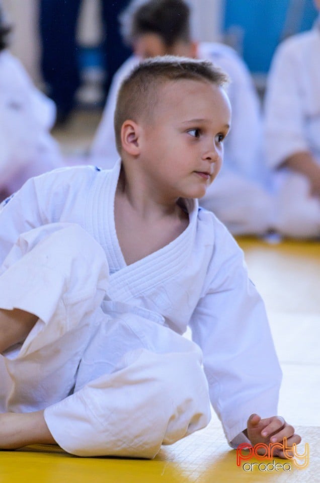 Micii judoka la Examen de Mon, Liceul cu Program Sportiv