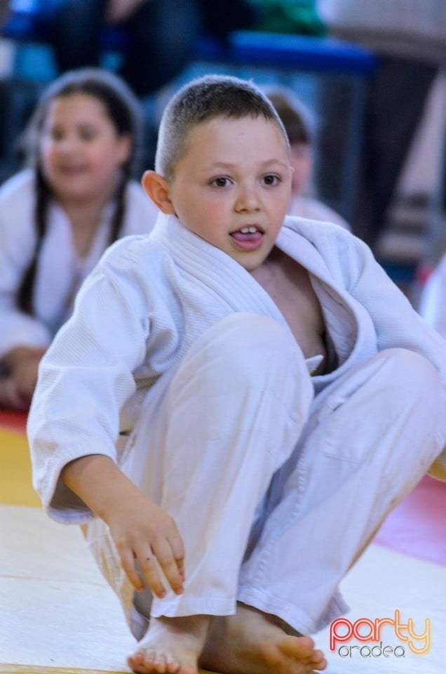 Micii judoka la Examen de Mon, Liceul cu Program Sportiv