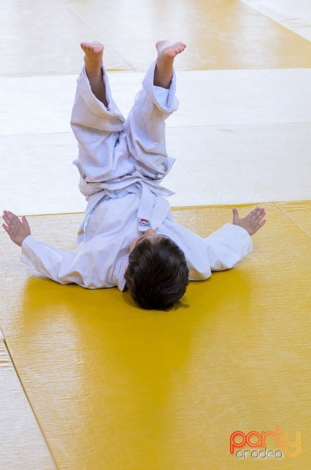 Micii judoka la Examen de Mon, Liceul cu Program Sportiv