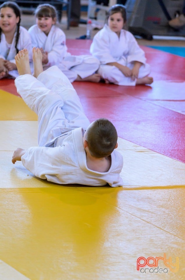 Micii judoka la Examen de Mon, Liceul cu Program Sportiv