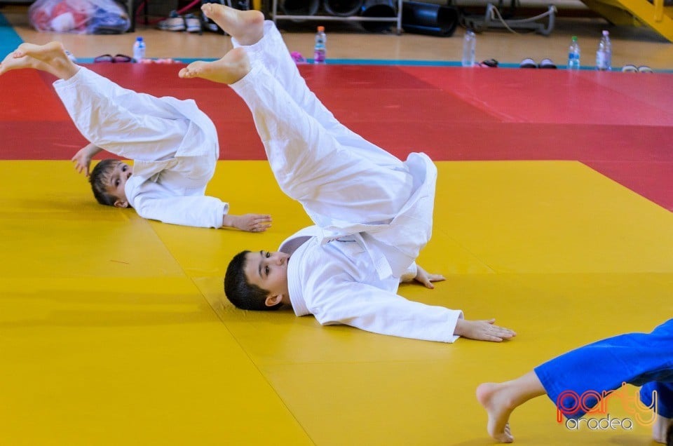 Micii judoka la Examen de Mon, Liceul cu Program Sportiv