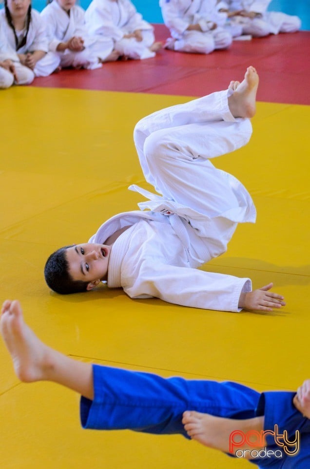 Micii judoka la Examen de Mon, Liceul cu Program Sportiv