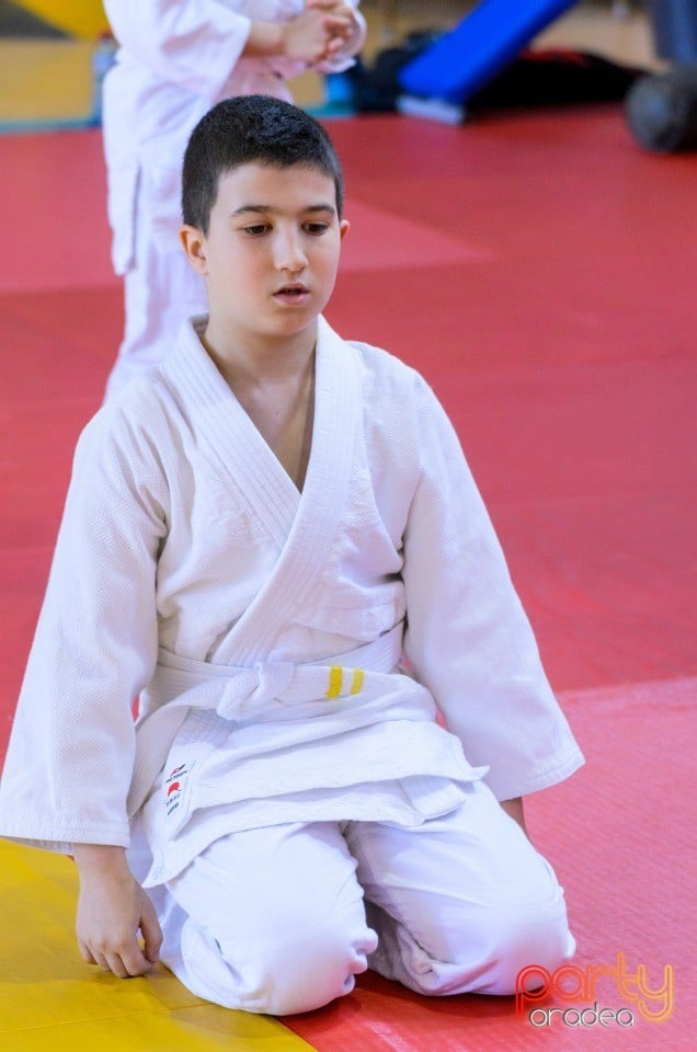 Micii judoka la Examen de Mon, Liceul cu Program Sportiv