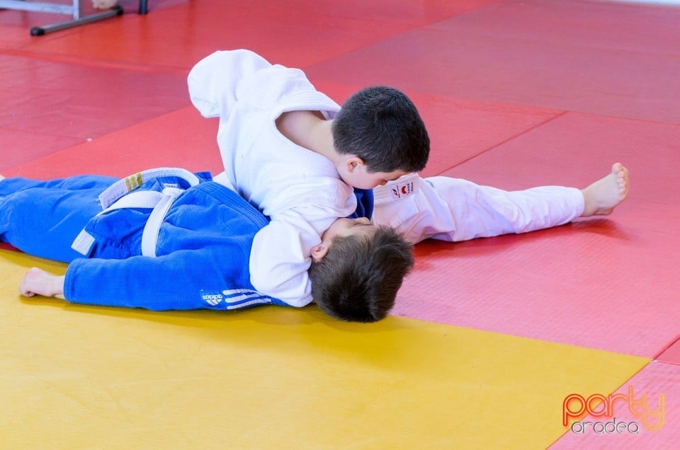 Micii judoka la Examen de Mon, Liceul cu Program Sportiv