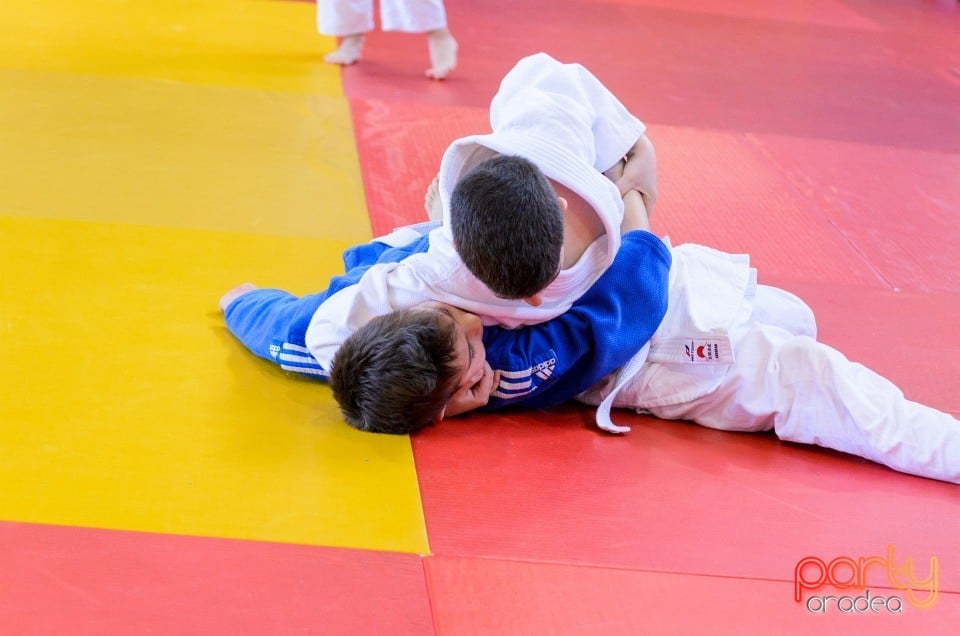 Micii judoka la Examen de Mon, Liceul cu Program Sportiv