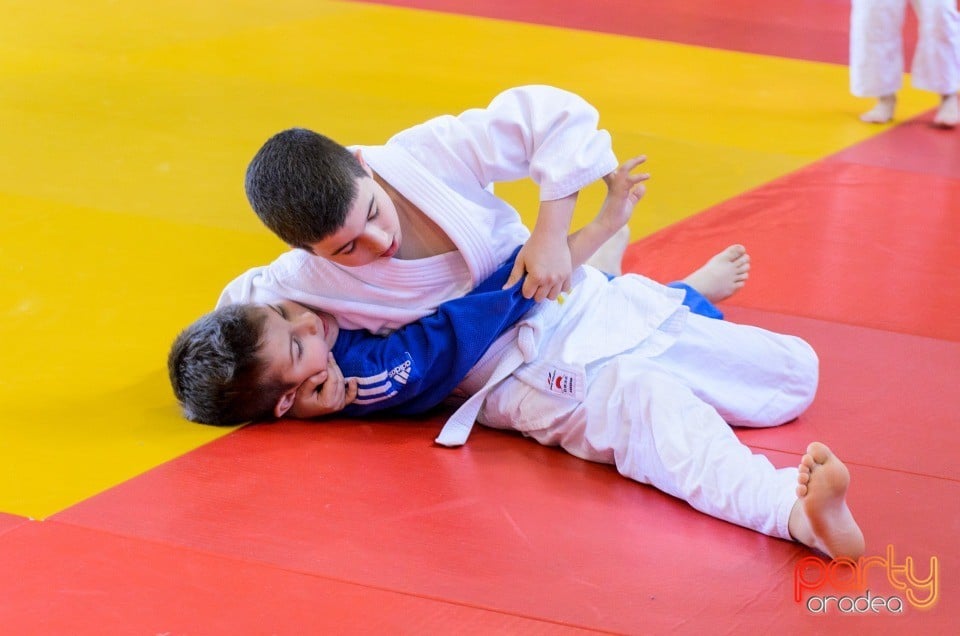 Micii judoka la Examen de Mon, Liceul cu Program Sportiv