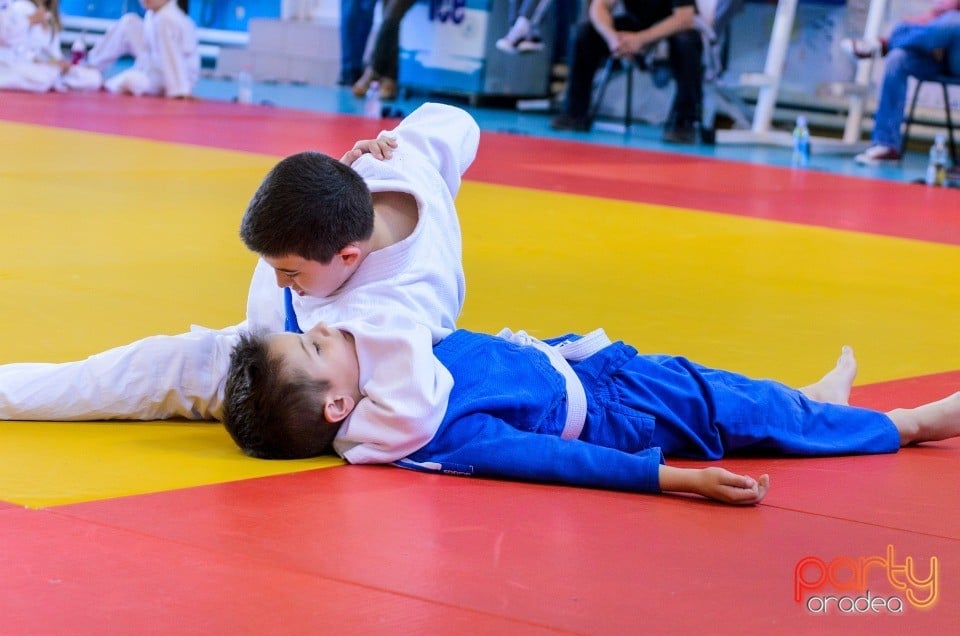 Micii judoka la Examen de Mon, Liceul cu Program Sportiv