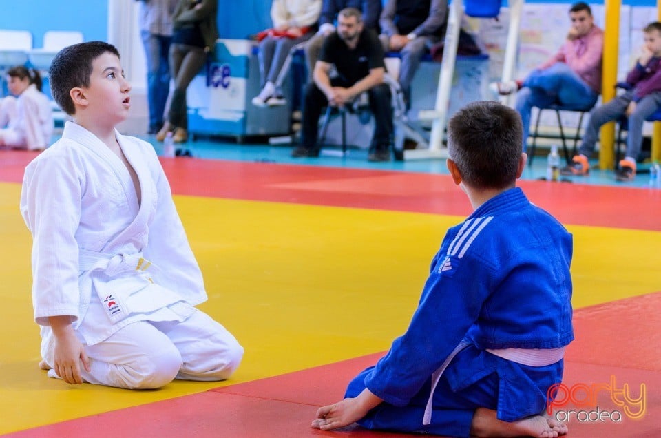 Micii judoka la Examen de Mon, Liceul cu Program Sportiv